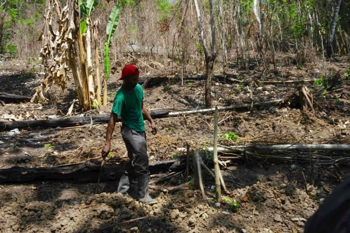 Caribbean advised to  prepare for long drought    