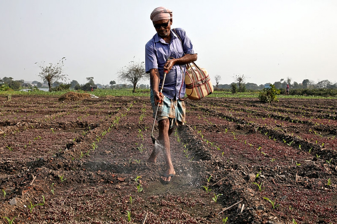 India steps up farm support, offers tax cuts to revive faltering growth