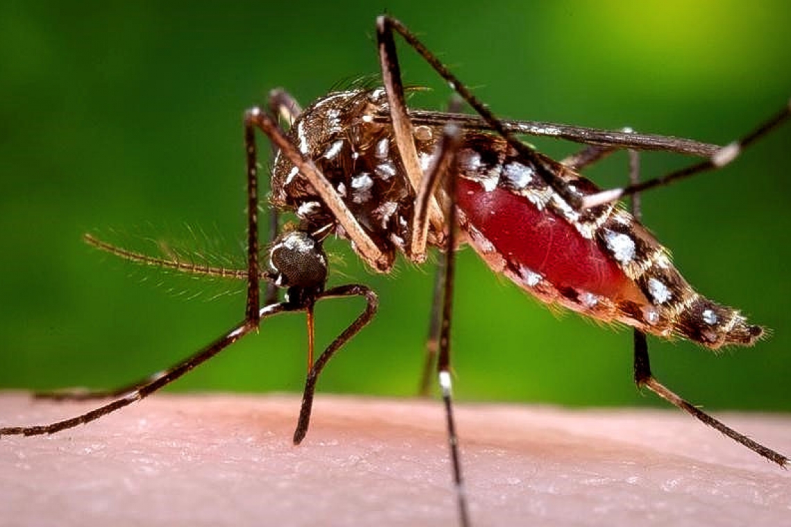       Elderly woman who contracted  dengue in St. Martin passes away   