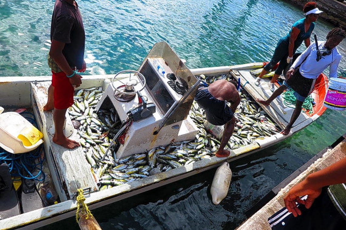 Sustainable fisheries plan  for Caribbean Netherlands