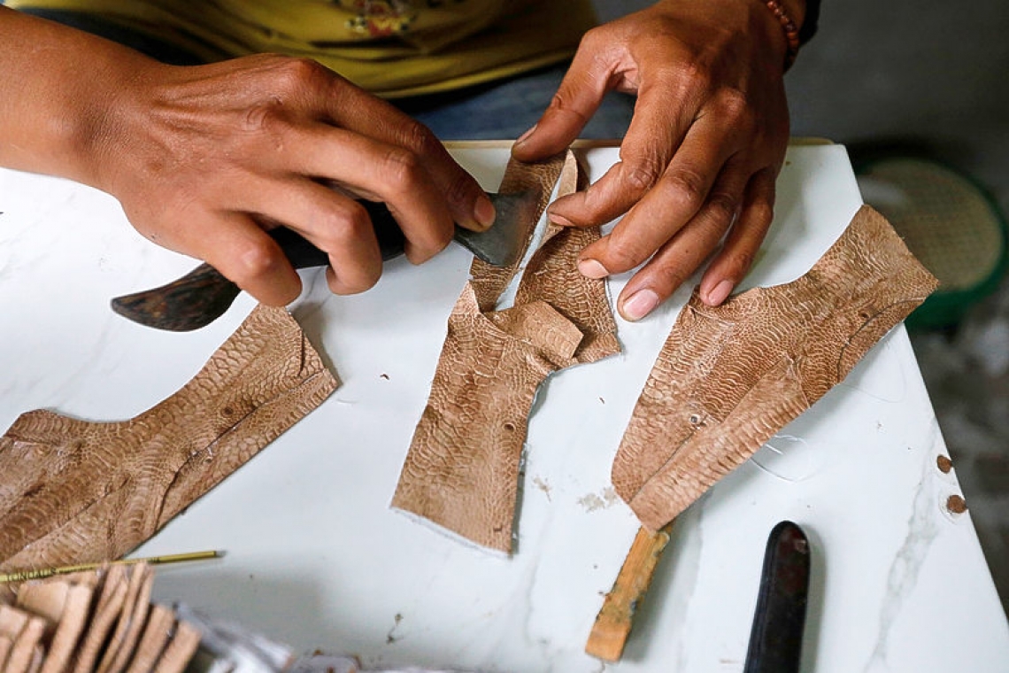 Best foot forward: Indonesian makes shoes from chicken feet