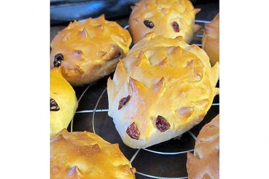 Hedgehog Rolls