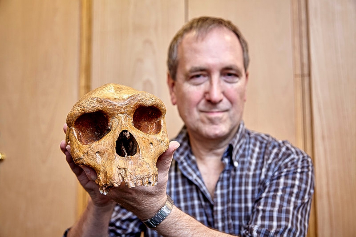Skull fossil provides new human evolution clues