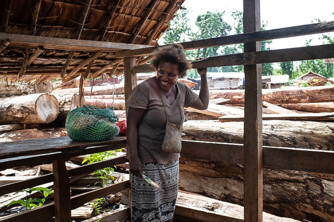 Machetes in hand, women join forces to fight logging in Solomon Islands 