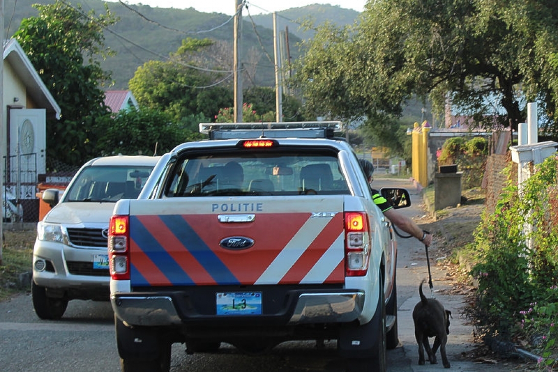       Police intervene in dog  attack in Statia residence   