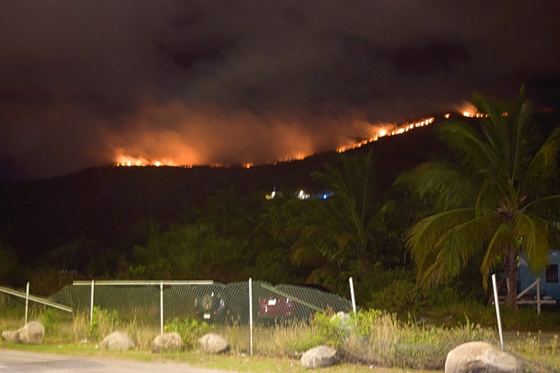 No damage  in bush fire 