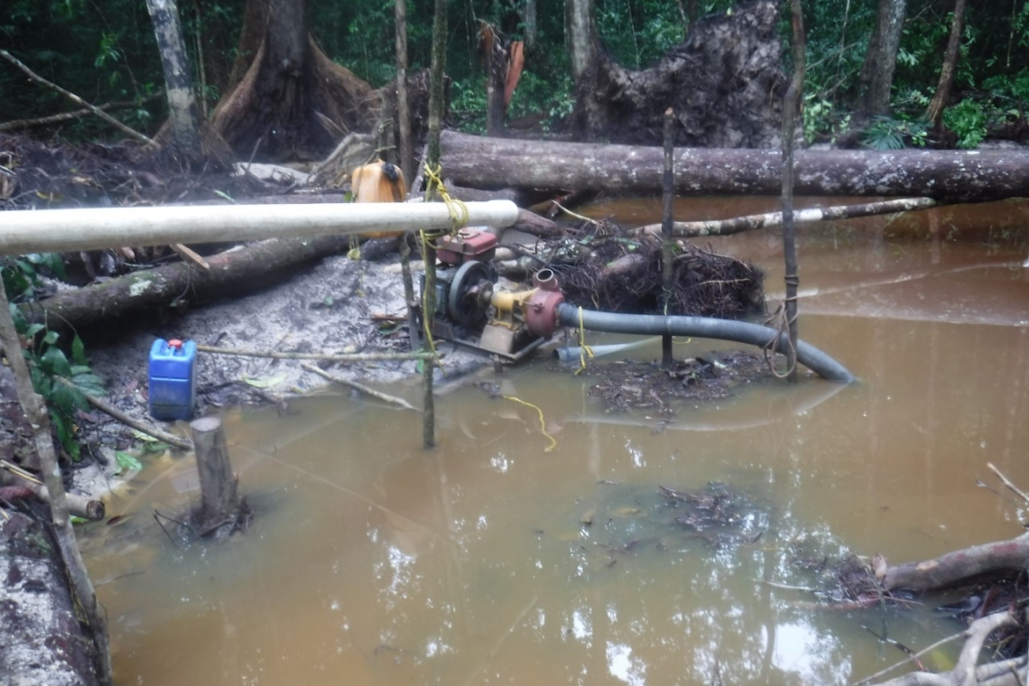 Illegal operations discovered at  protected Iwokrama Rainforest   