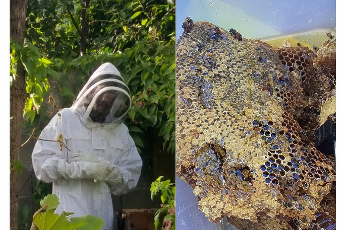 Getting the buzz with local beekeeper Dwain William