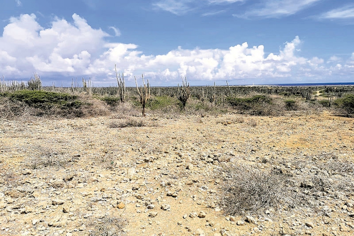 No request as yet to develop Bonaire Plantation Bolivia