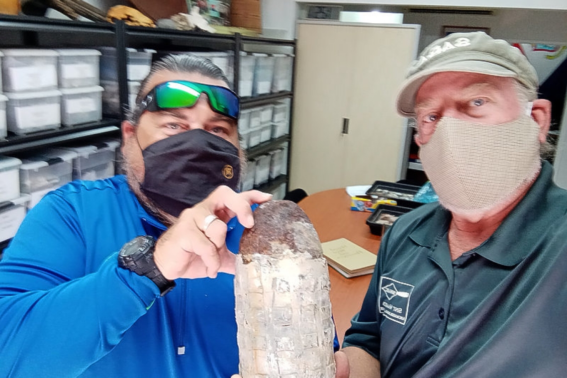 “Cannon projectile” discovered