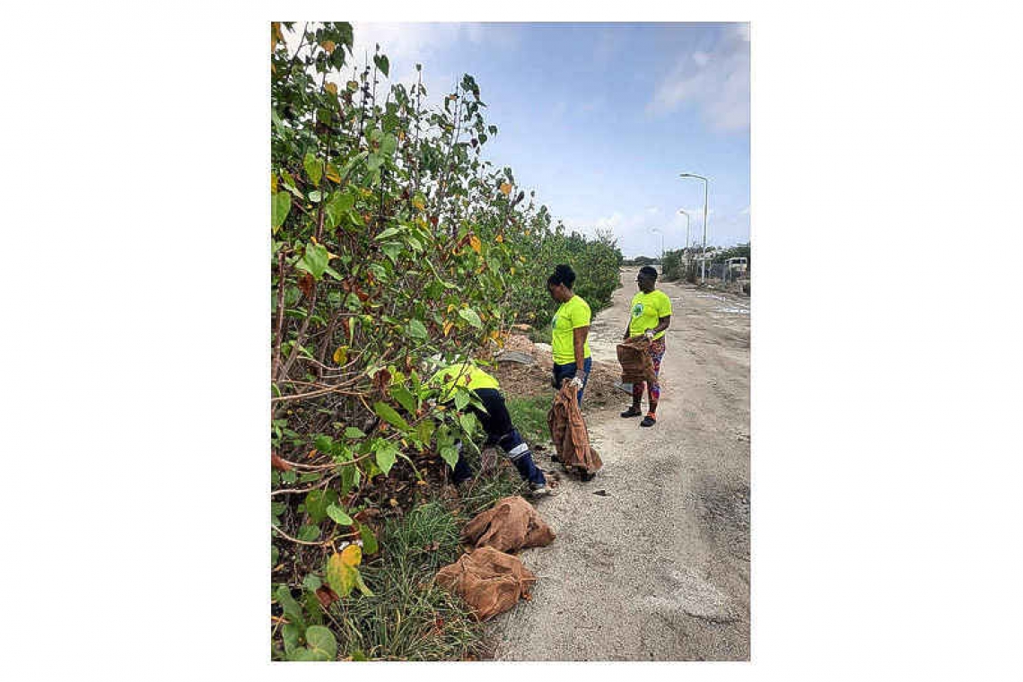 Re-Greening SXM project collects  more than 400 pounds of garbage   