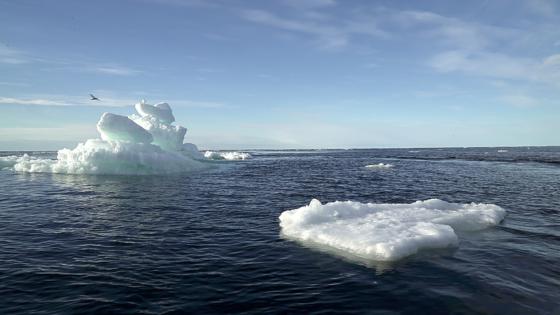 United States formally exits global climate pact