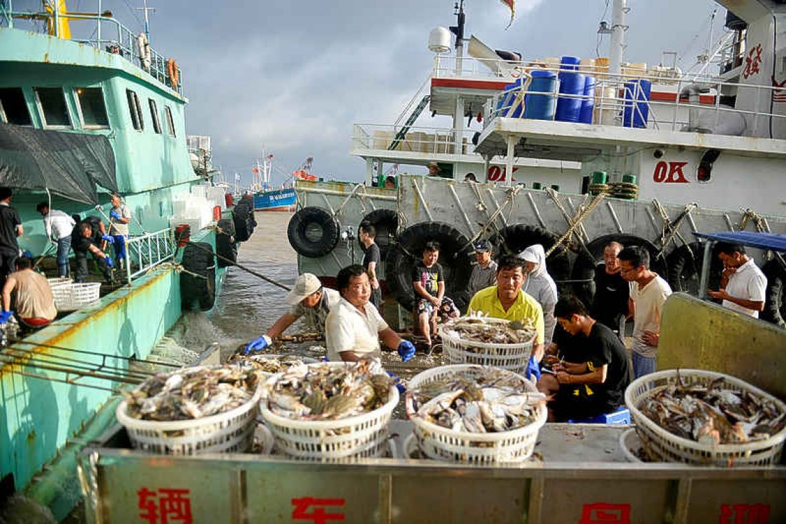 WTO fails to agree rules to stop over-fishing, but will try again