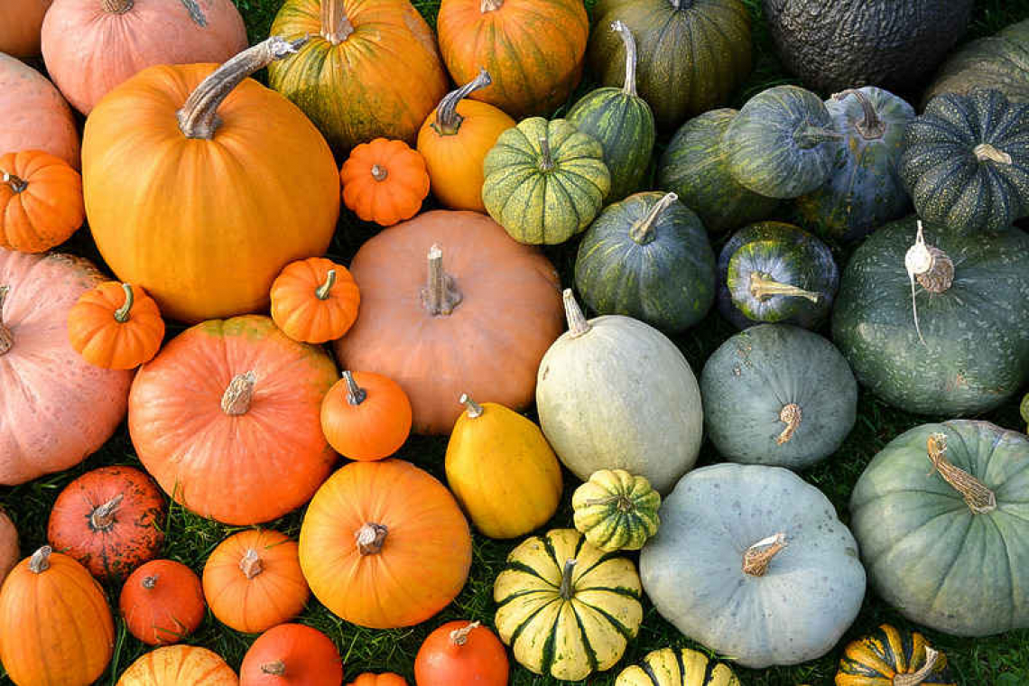 Pumpkin: A sustainable, healthy treat!