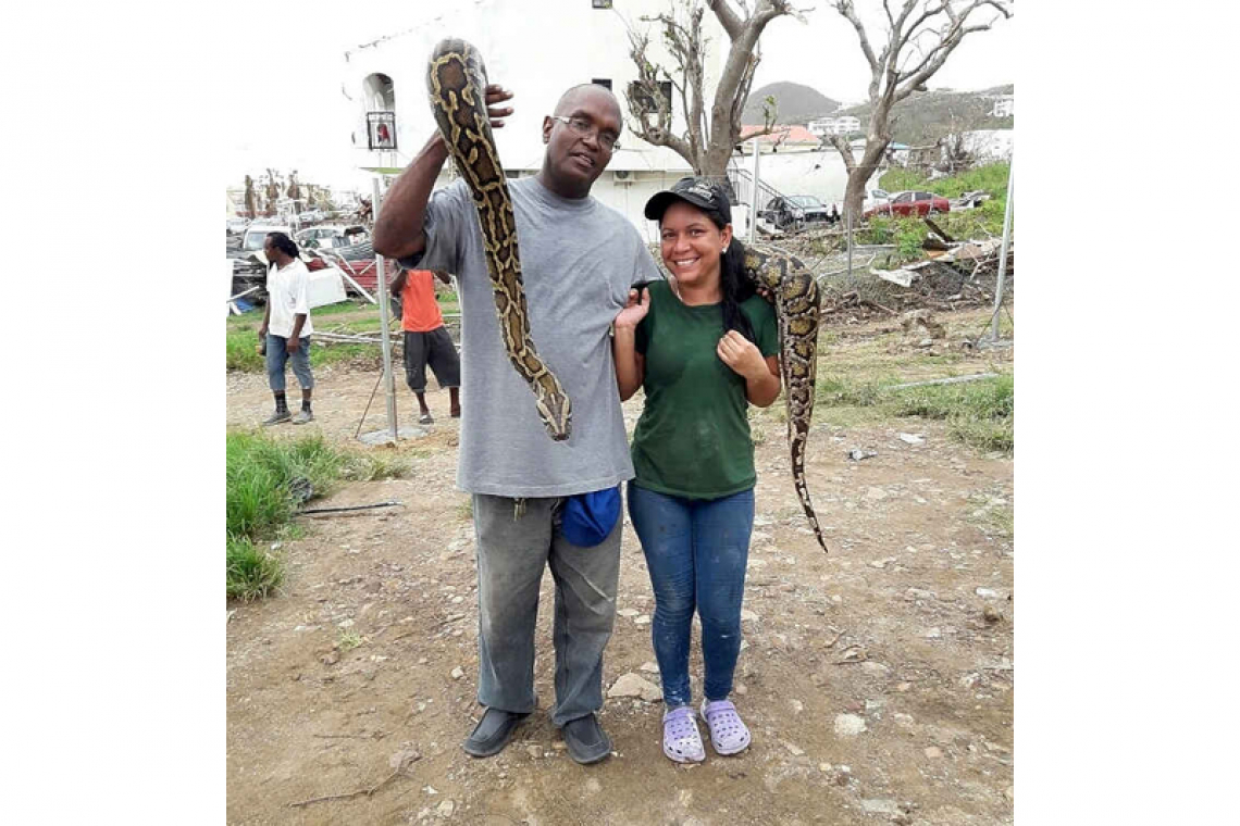 Police seize large python  from family residence