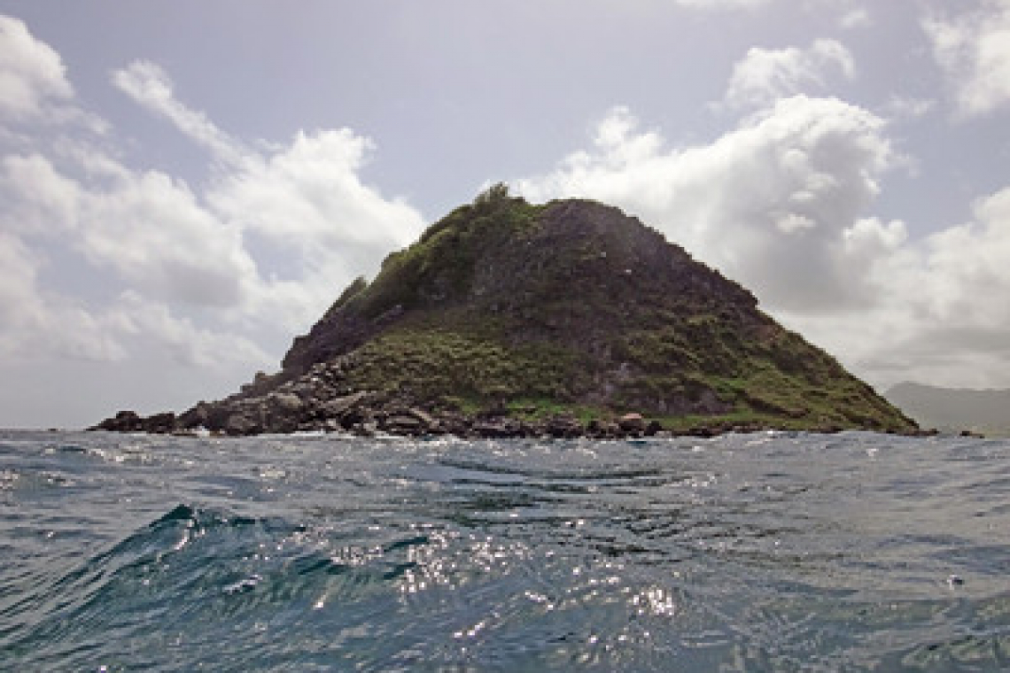 UPDATE:  St. Kitts university student victim  of shark attack near Booby Island