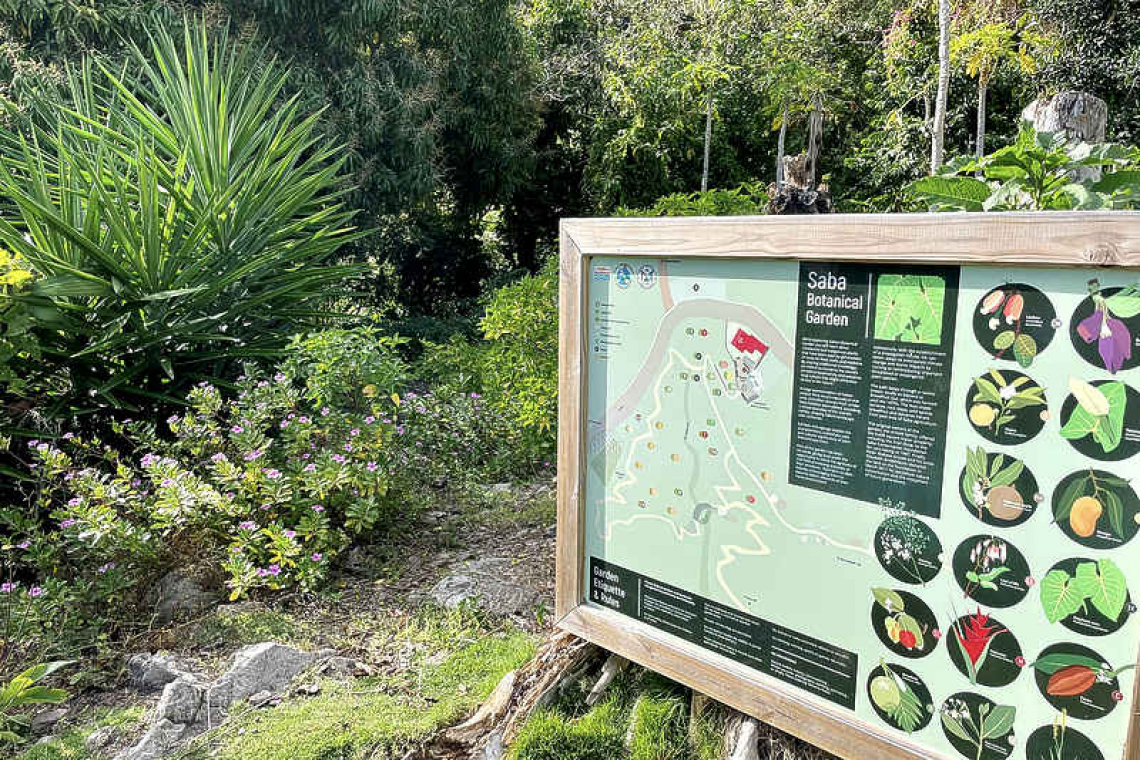 Works start on Saba  Botanical Garden
