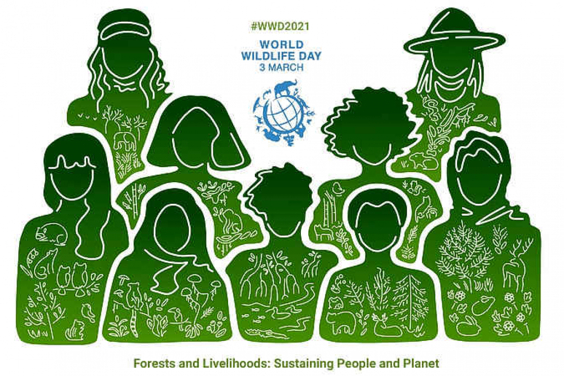 World Wildlife Day is dedicated to FORESTS this year