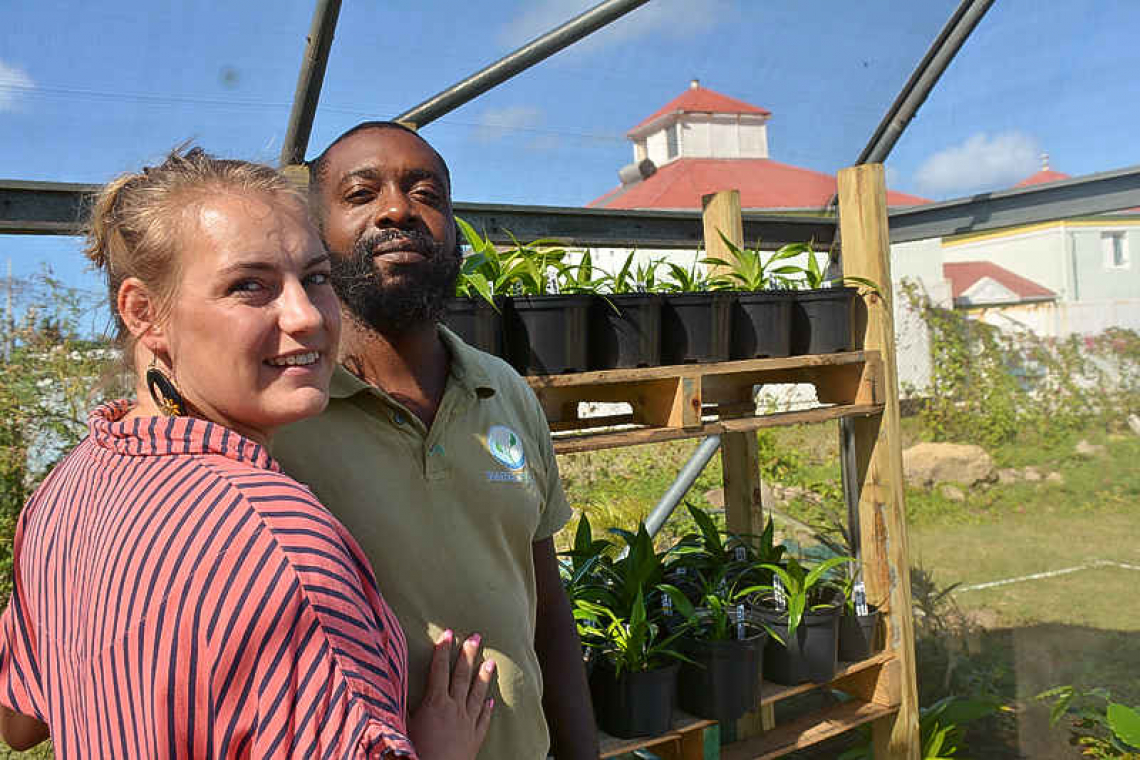 Self-Made care farm  starts in St. Eustatius