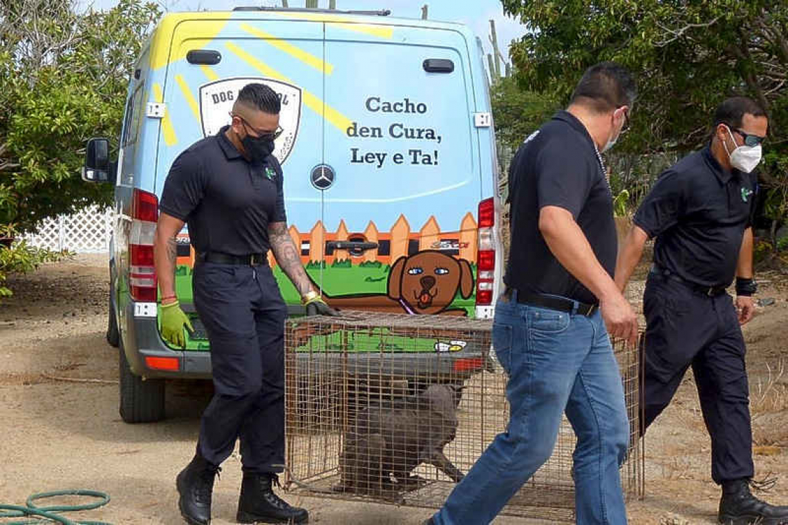    Dog Control Unit now  operational in Aruba