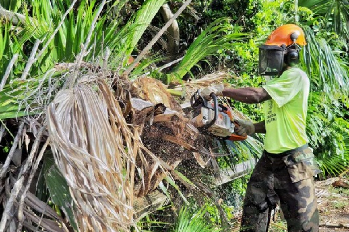 Hurricane prep week starts next  week with safety tip broadcasts