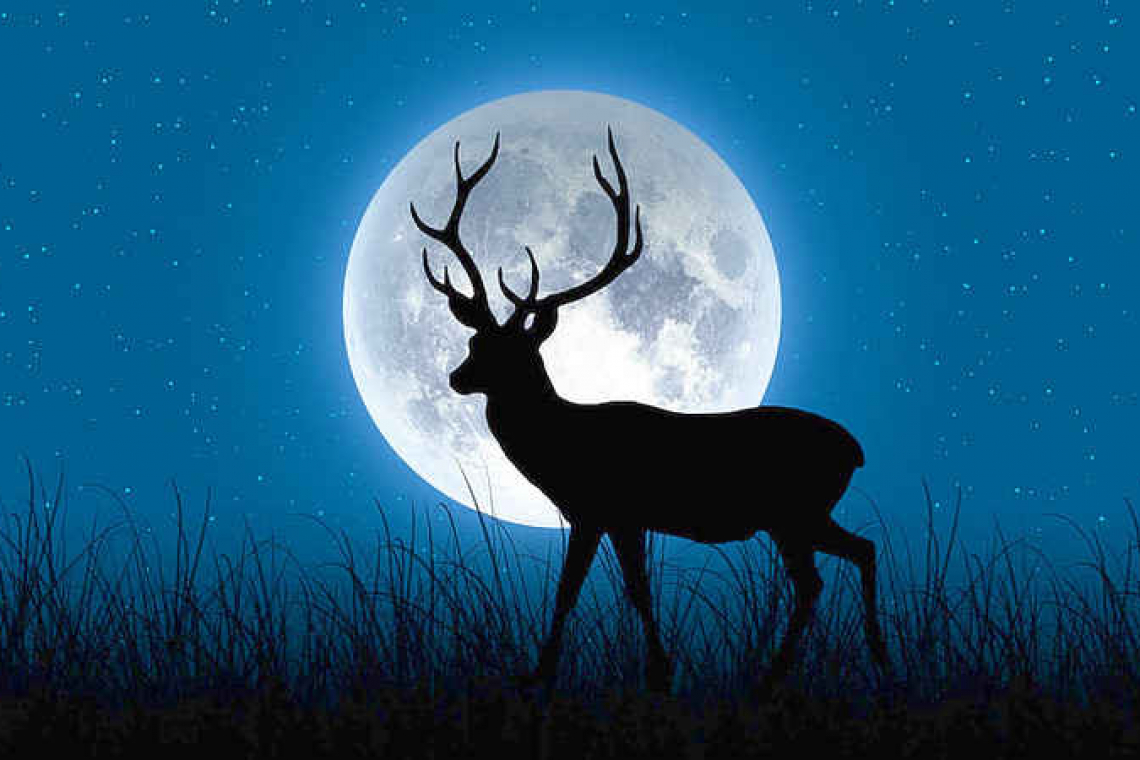 Spot the Full Buck Moon: Looking up at the Night Sky