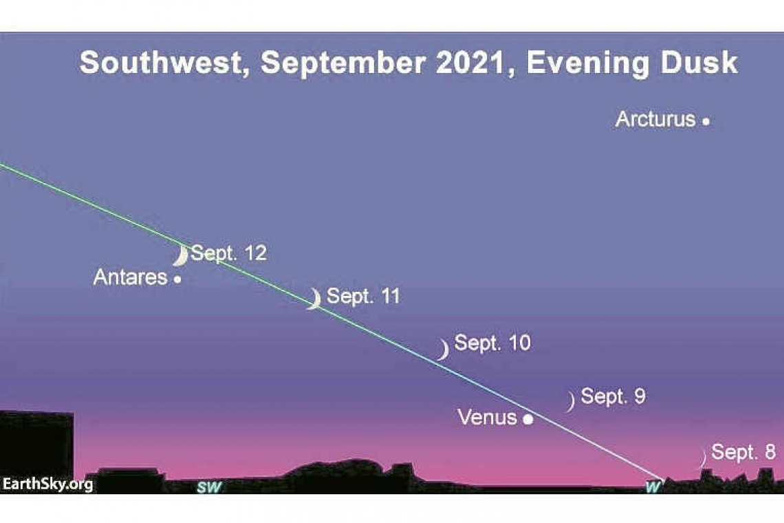 Venus and the slim crescent moon: Looking up at the Nightsky