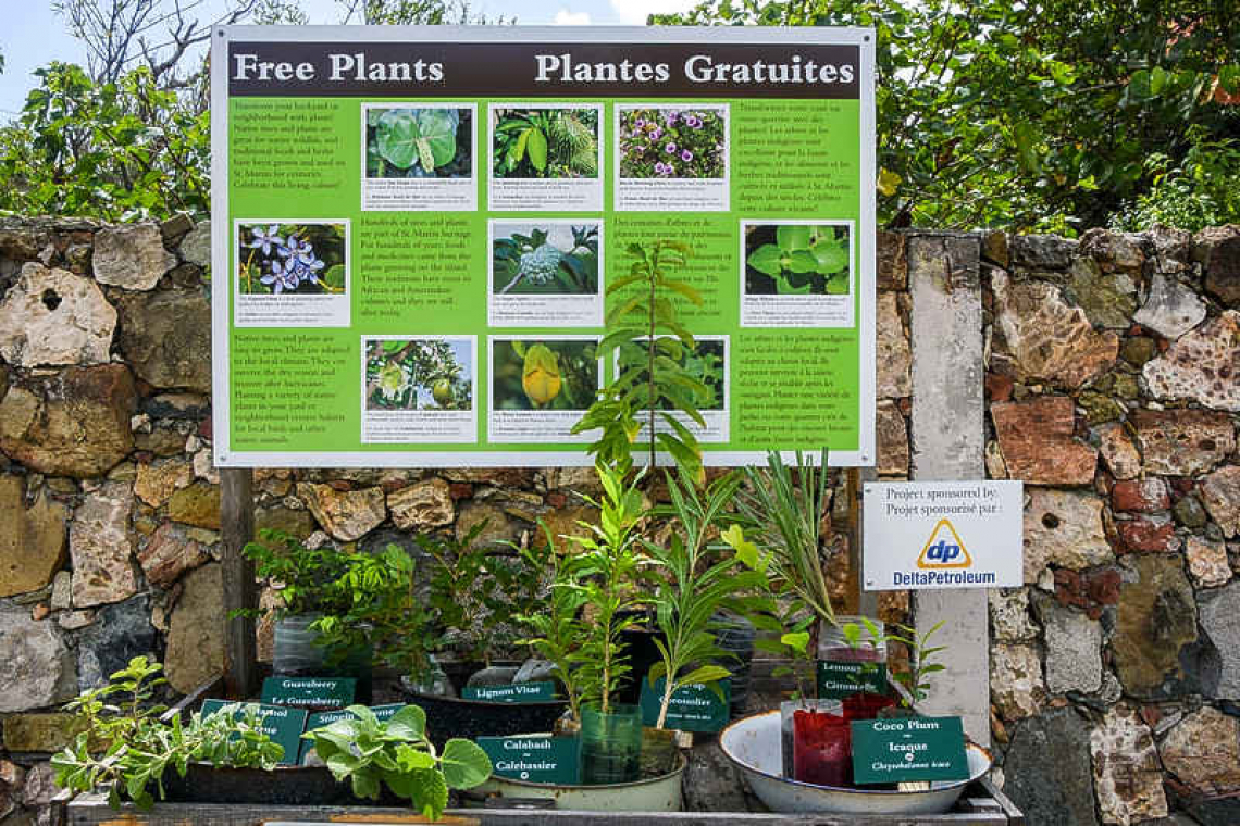 Start the growing season right with free plants from Amuseum Naturalis