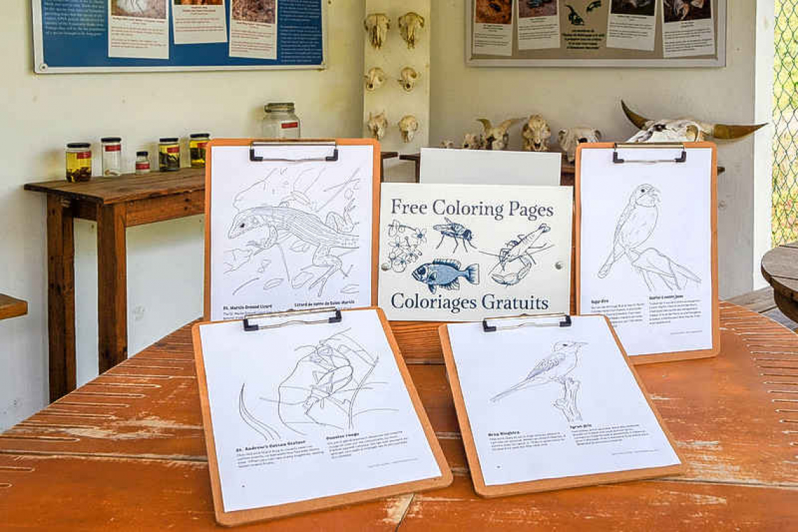 Free colouring pages and other fun activities for kids with Amuseum@Home!