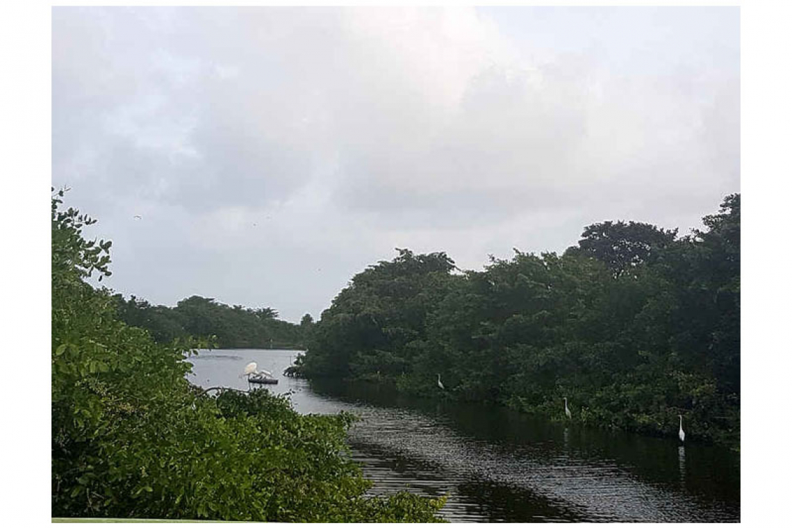 Temporary warning against  water activities in Great Bay