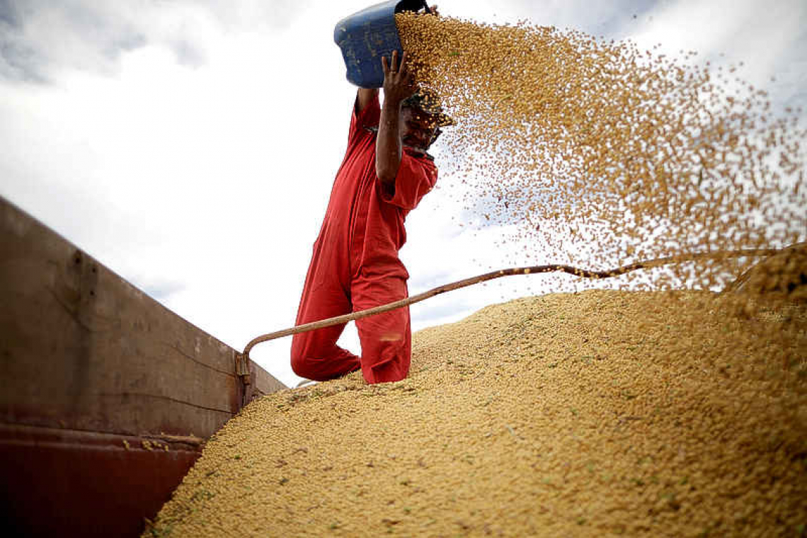 Big US, Brazil harvests, slowing China demand ease some crop shortage fears