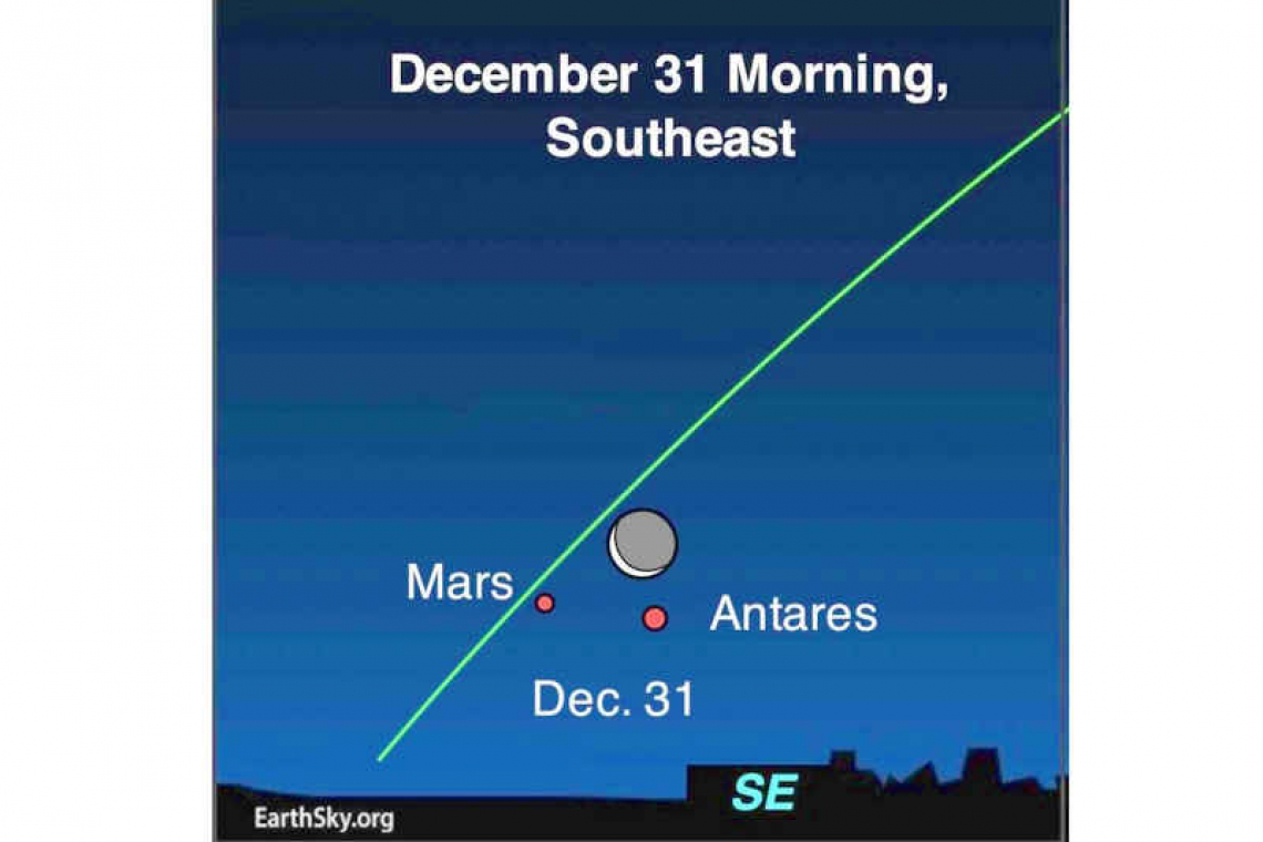 The red planet returns: Looking up at the Night Sky