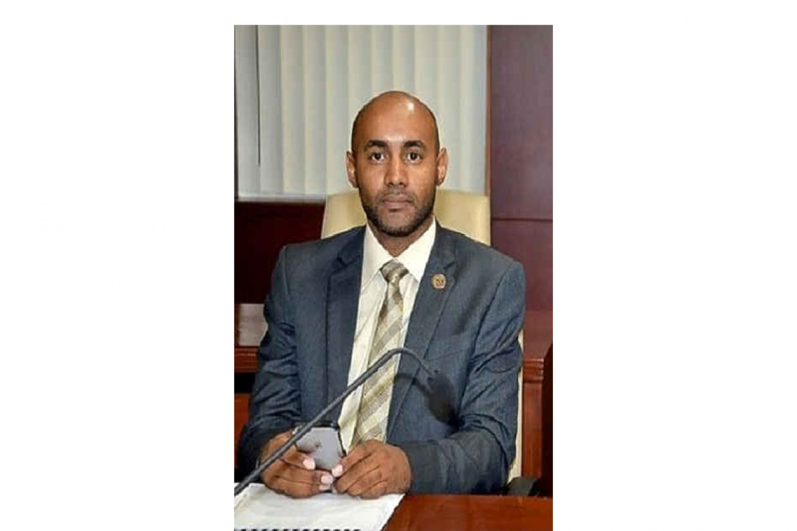 Parliament to examine  Brownbill’s credentials