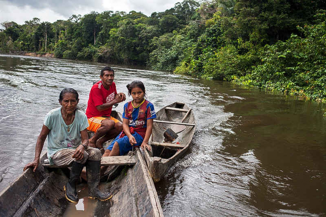 As forest threats loom, guardians organize as 'mini-governments'