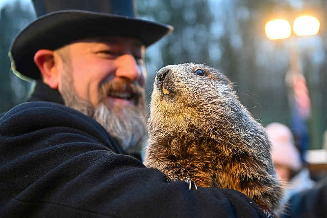 Batten down the hatches: no early spring this year, forecasts groundhog Punxsutawney Phil