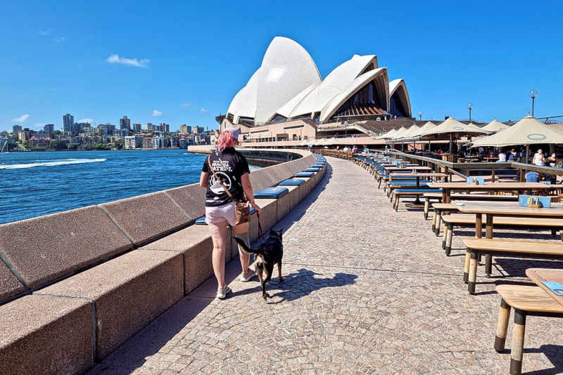 Gull-free dining thanks to patrol dogs at Sydney Opera House