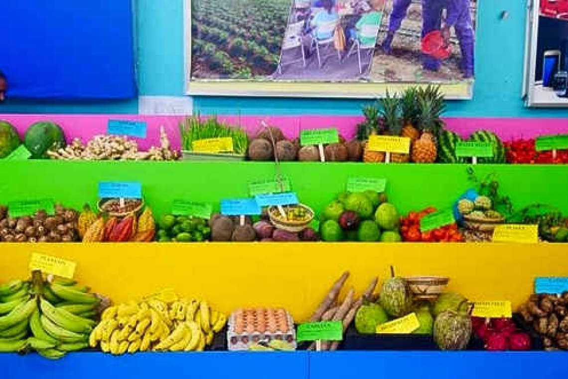 Agriculture in St. Vincent and  the Grenadines has recovered