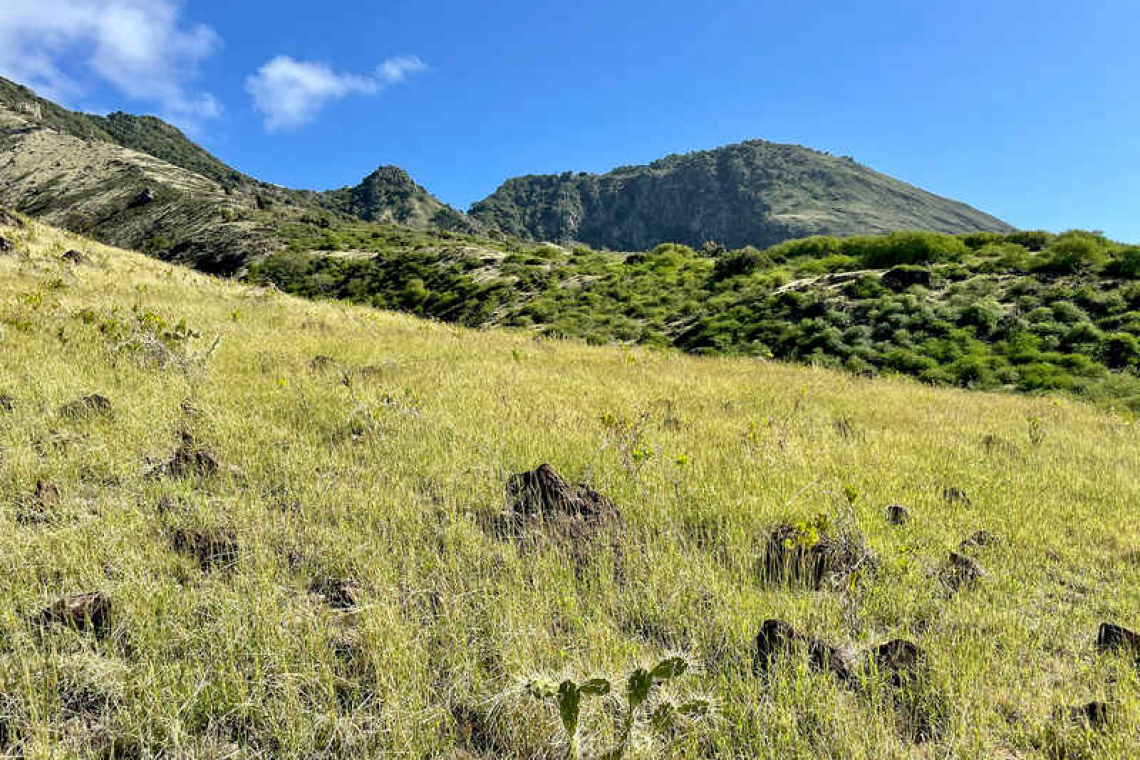 Goat project first phase sees  recovery of native vegetation