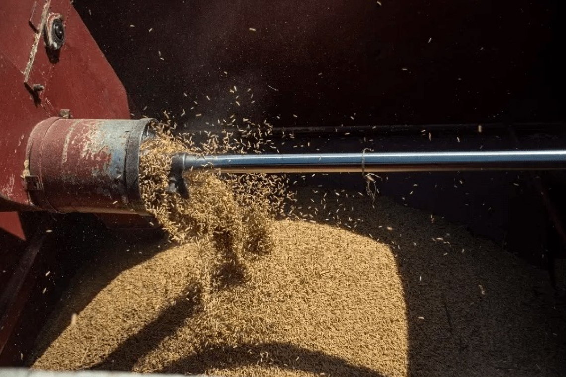    RPA rep: Consumers being  exploited by local rice millers  