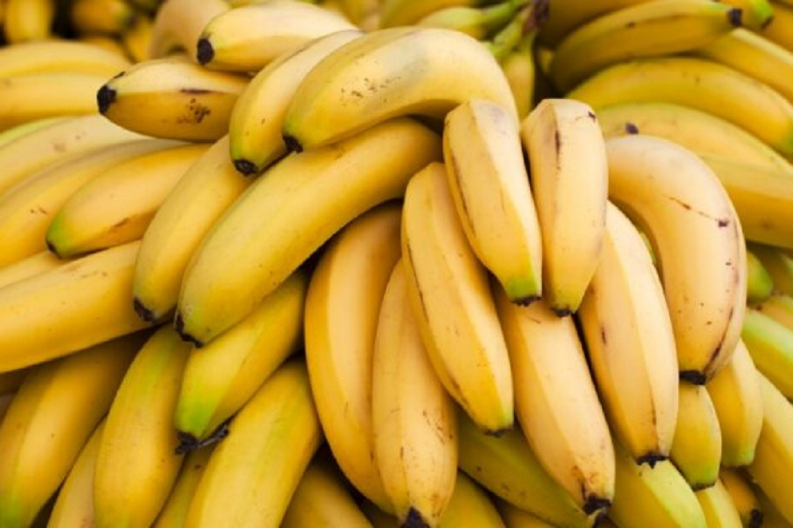    Saint Lucia finds success in  exporting bananas to Antigua