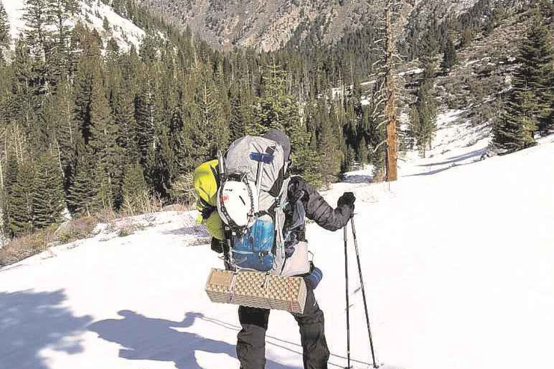 Heavenly Hikes: Desiree Winkel’s Codillera Blanca climb 