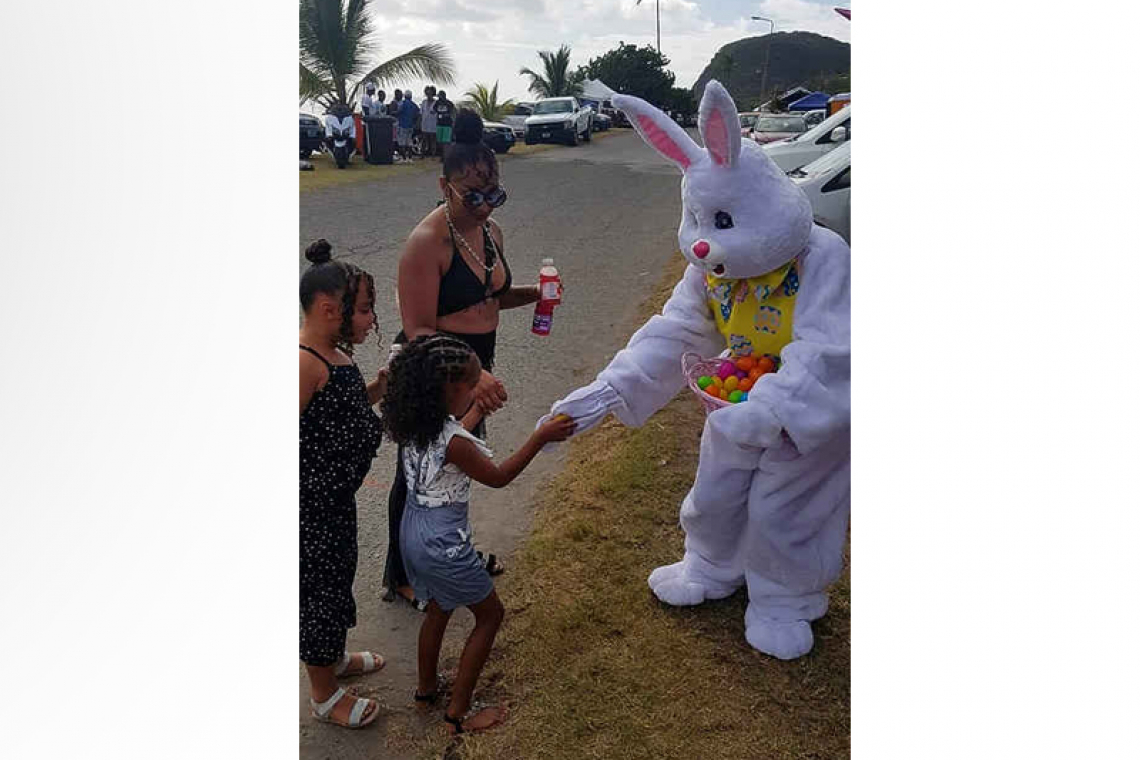 Bunny Fun