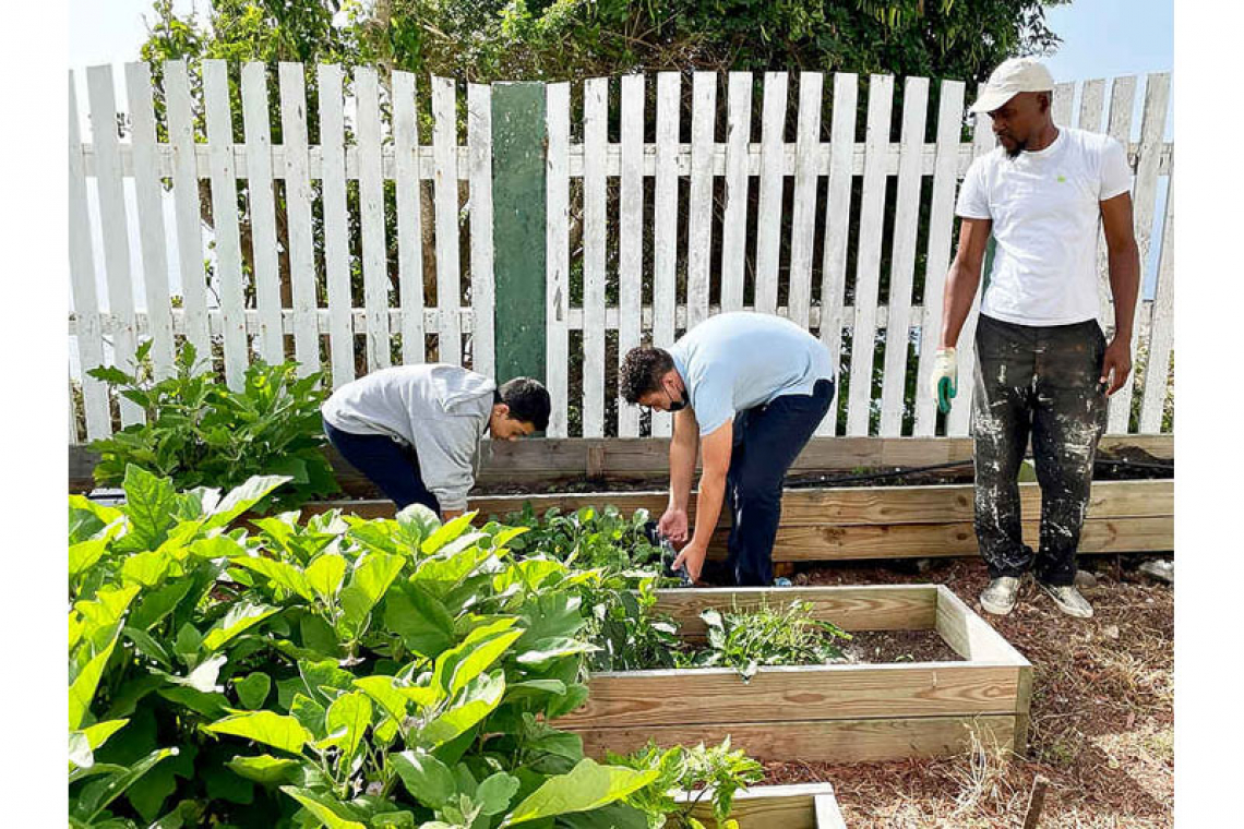 Students at SCS learn  about agriculture