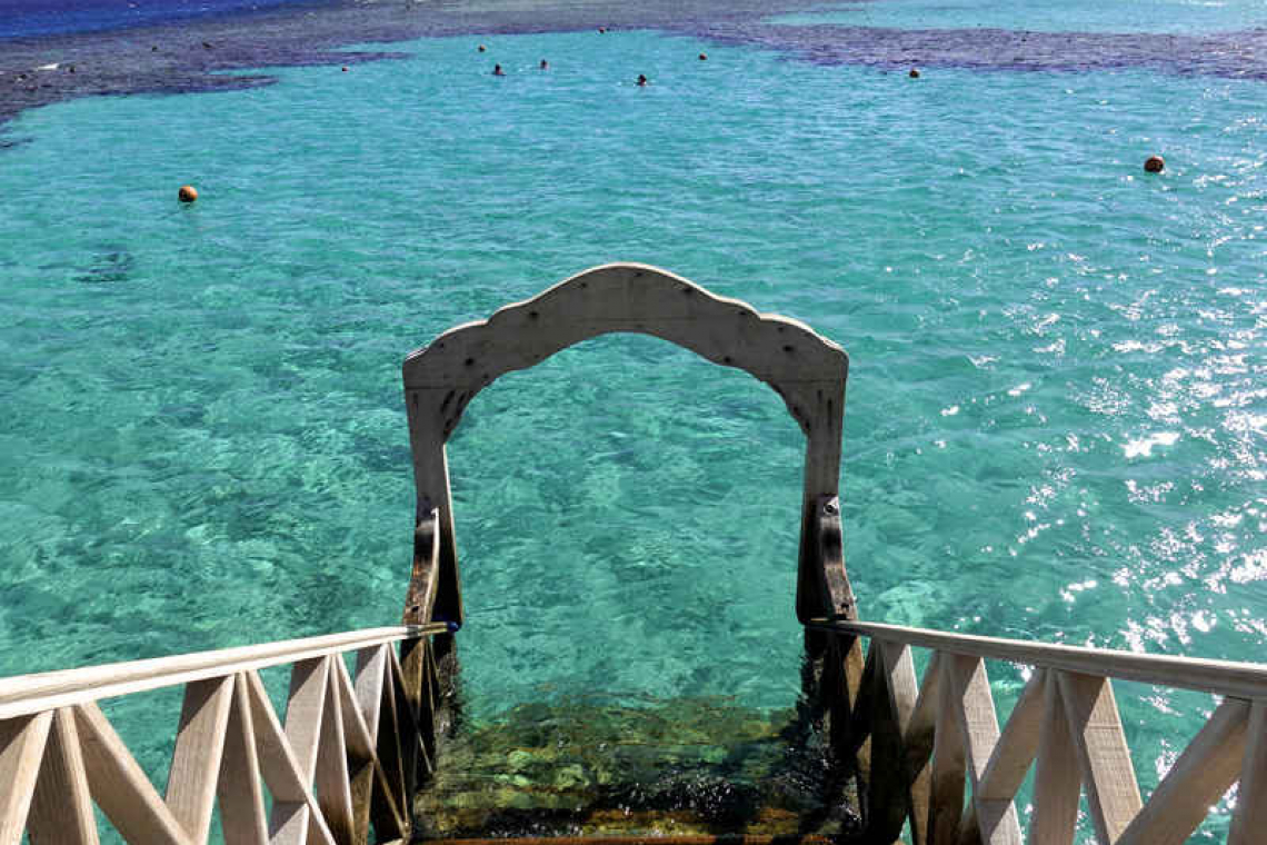 Second woman killed in shark attack in Red Sea