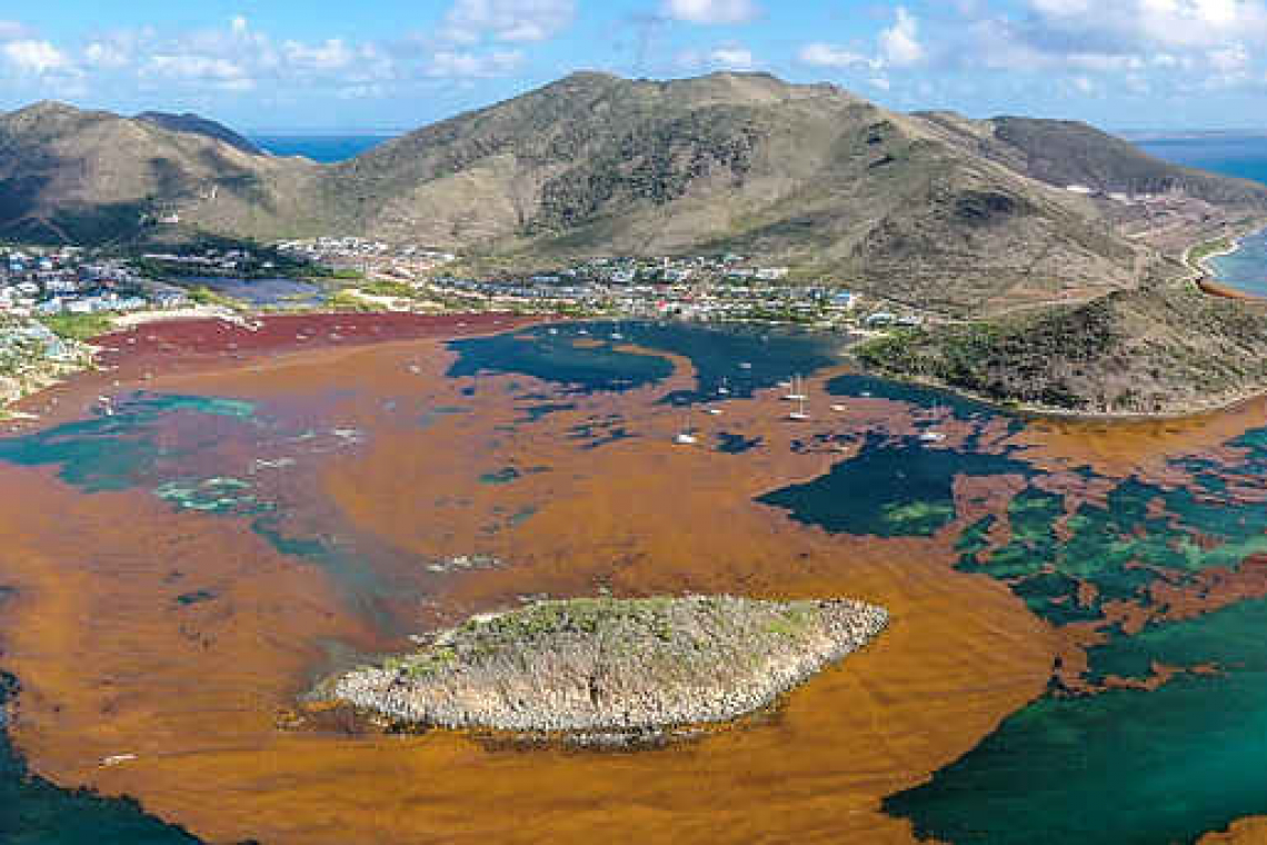 Pinel Island closed due to Sargassum