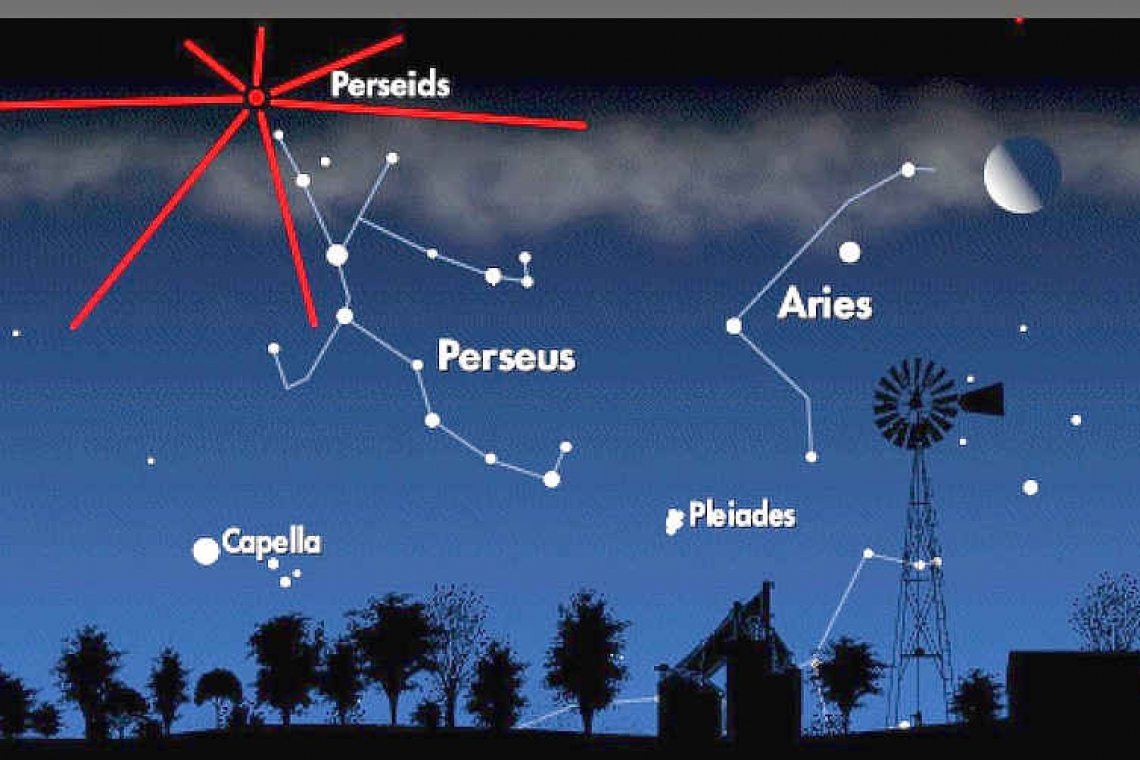 Look out for the Perseid Meteor Shower: Looking up at the Night Sky