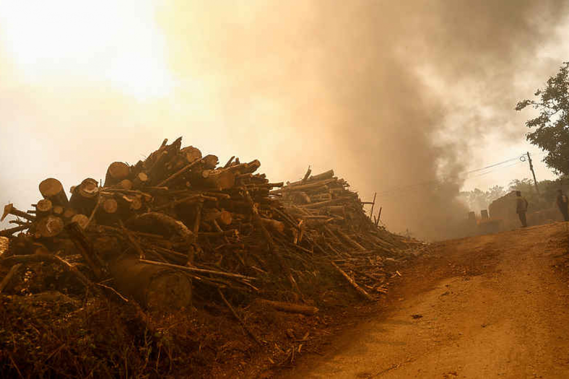 Climate change, scarcity chip away at degrowth taboo