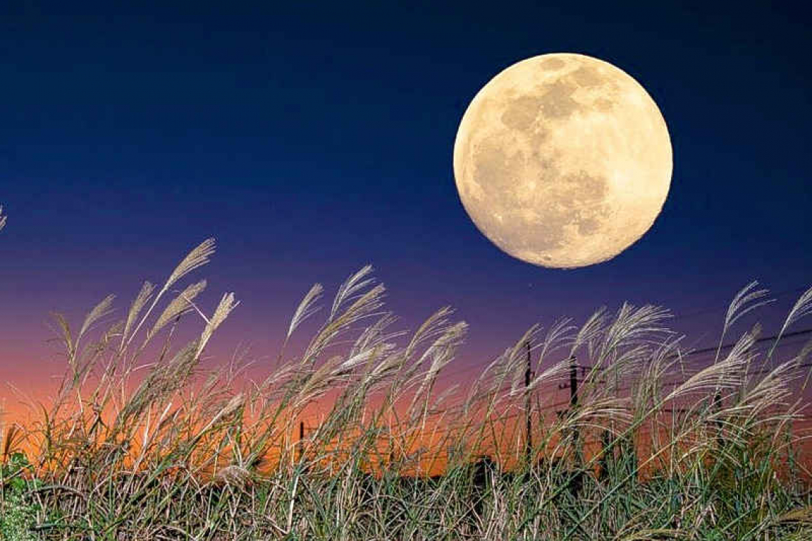 This Harvest Moon is sure to dominate: Looking up at the Nightsky