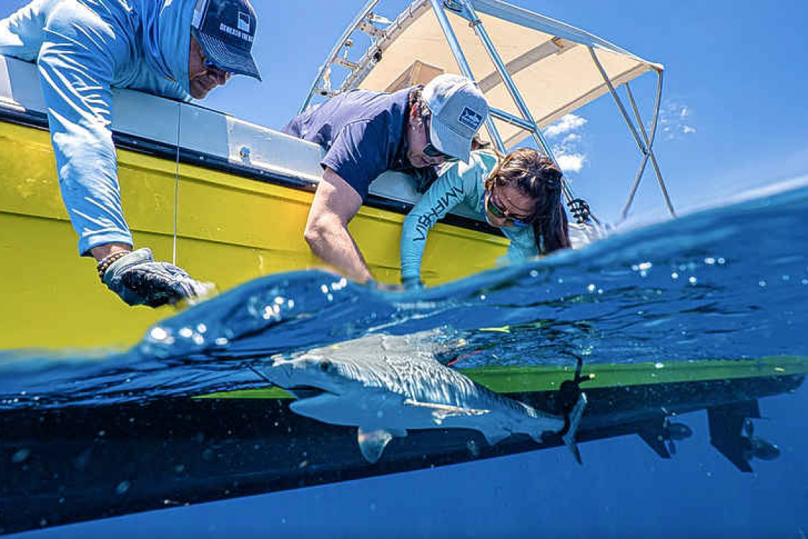    Reef protectors from the region gather in St. Maarten for training