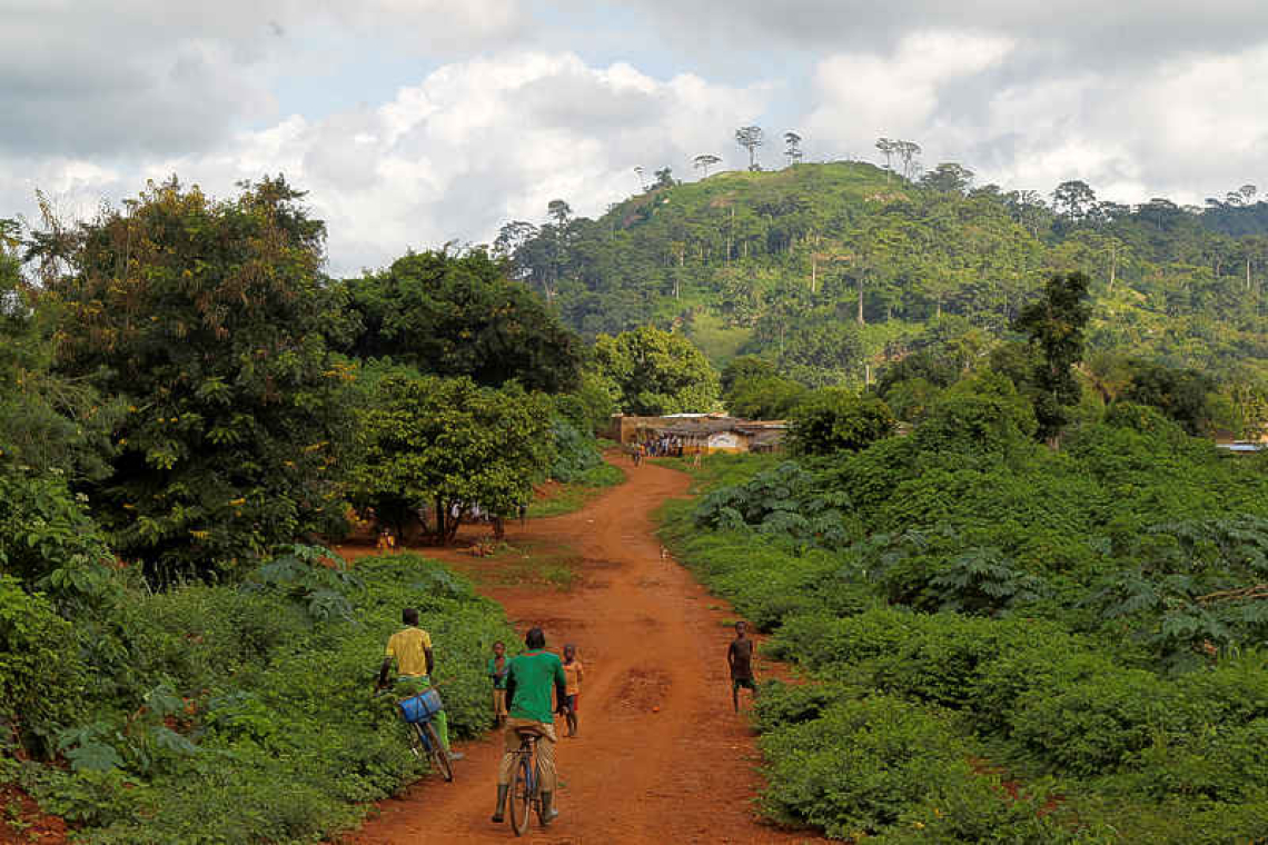 Biggest rainforest nations form triple alliance to save jungle